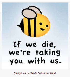 Screen Shot 2015-09-01 at 9.53.27 pm